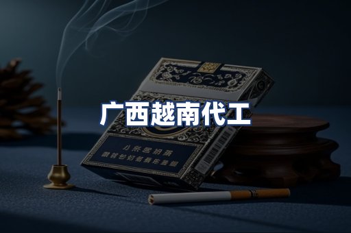 广西越南代工